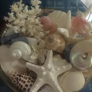 Meet your Posher, Kathryn